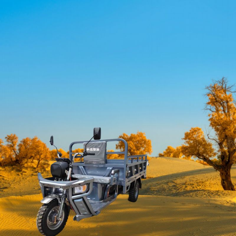 Household Cargo Tricycle